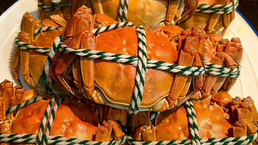 從「上不了檯面」到「餐桌貴賓」，十樣「窮人下酒菜」大逆襲！的封面圖片