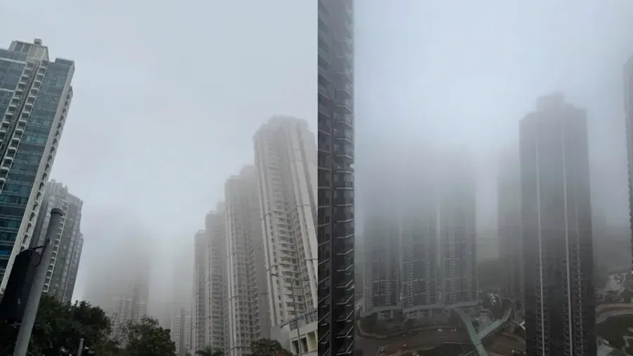 本港天氣潮濕溫差大 氣象專家提醒留意倒春寒來襲的封面圖片