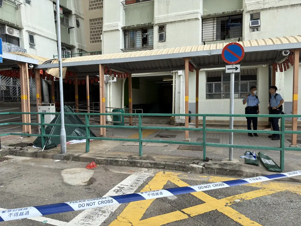 35 歲黃姓男子墮落至行人通道簷篷，34 歲陳姓妻子則壓毀簷篷直墮地面，救援人員到場後確認兩人當場不治，而陳女已懷孕 7 個月，事件慘成兩屍三命。​(圖：網絡翻攝)