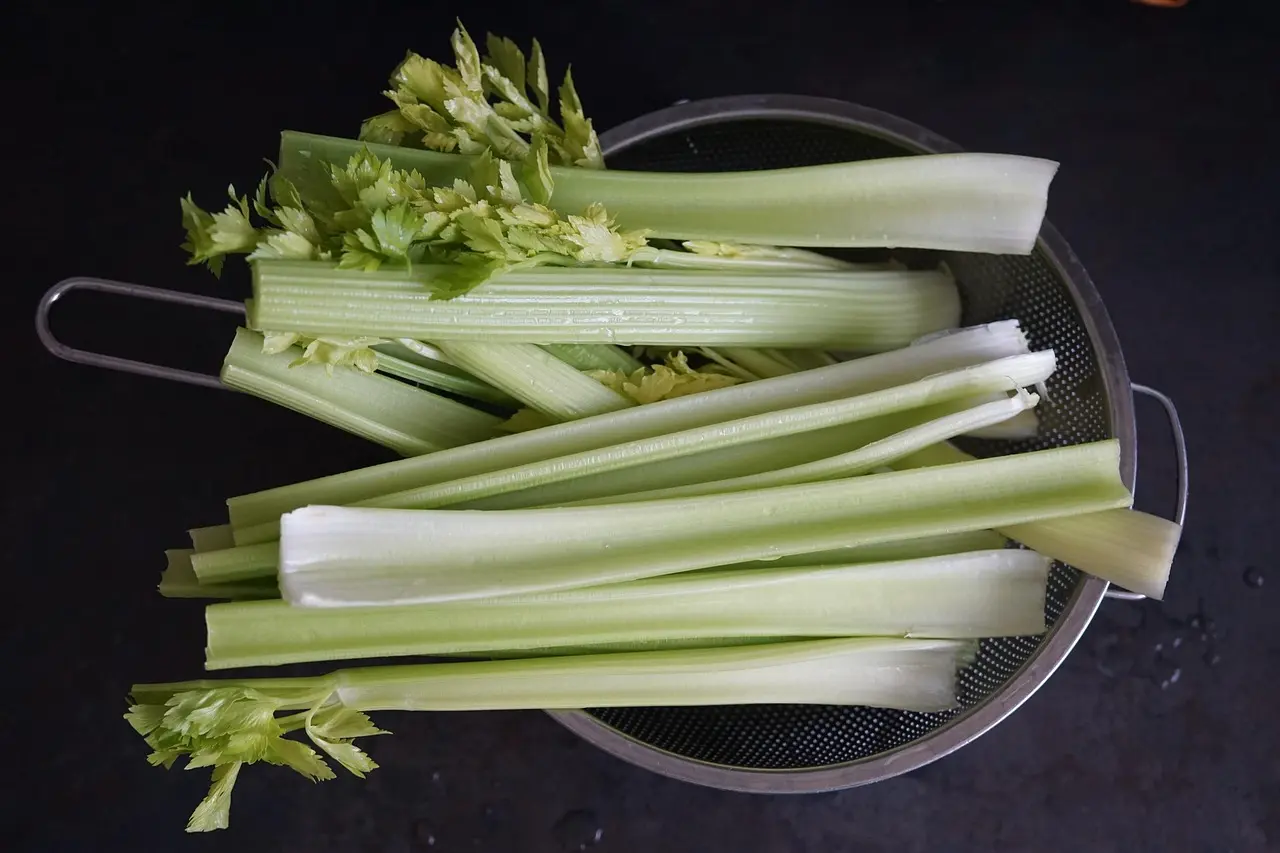 芹菜是餐桌常見蔬菜，價錢親民、料理簡單，卻常被簡單貼上「降血壓」標籤，有人猛吃、有人排斥。（示意圖來源：pixabay）
