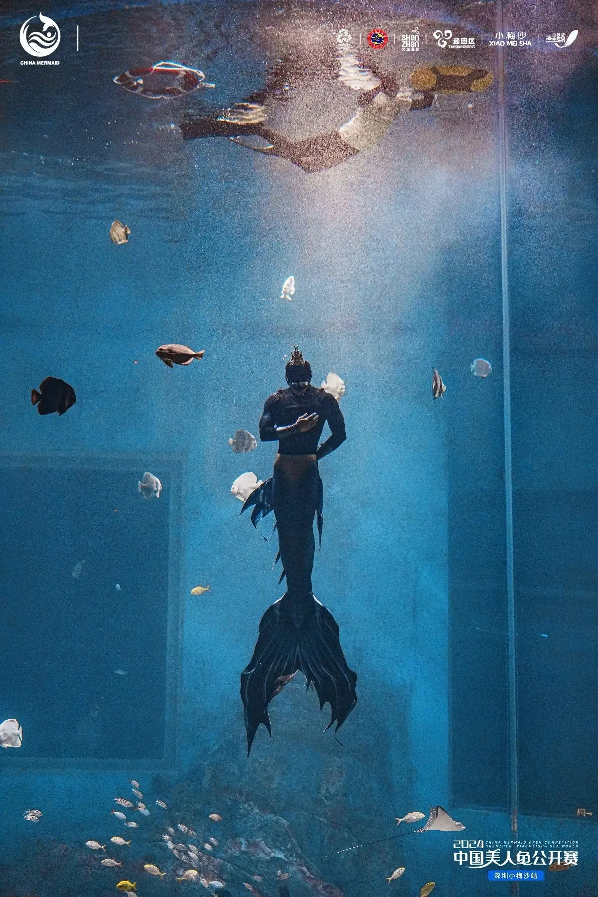 武漢海洋館「男美人魚」爆紅！竟是跳水選手？（來源：九派新聞）