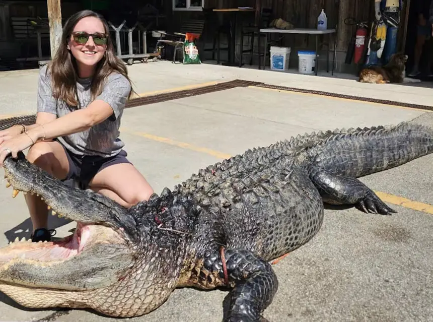美國媽媽Brittany Livingston在科德雷農場與標本製作工作室（Cordray's Farms & Taxidermy）前，與她那隻身長3.6米、271公斤的鱷魚合影。（來源：ky3）