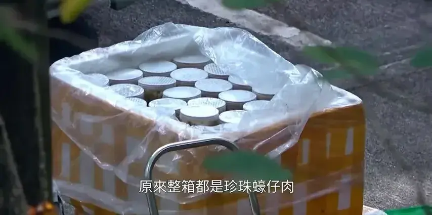 《東張西望》記者查探發現，走私海鮮種類繁多，不僅有常見於刺身料理的魚類，還包括珍珠蠔仔肉及多種急凍肉類。​(圖：視頻翻攝)