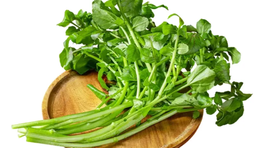 美國營養評選第一名的蔬菜，為何只有粵港澳朋友識貨？的封面圖片