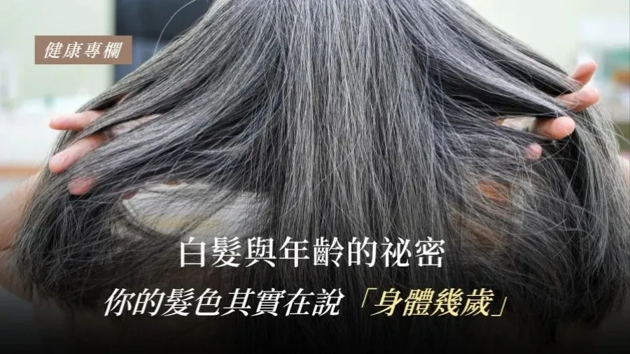 為什麼會長白髮？白髮與年齡的祕密的封面圖片