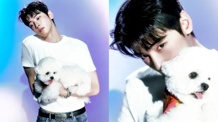 車銀優涉嫌利用母親公司避稅遭追繳200億韓元 經紀公司備妥官方立場 國稅廳認定紙殼公司的封面圖片