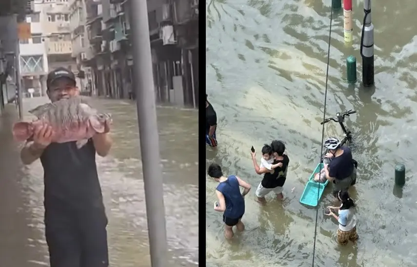 大批居民攜帶水桶、漁網甚至帆布袋、保溫箱等工具上街捕魚，參與這場特殊的「內陸趕海」。(圖：網絡截圖)