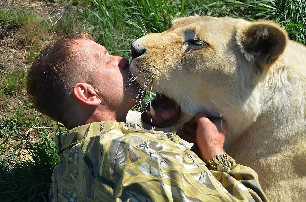 Taigan safari park的創辦人 Oleg Zubkov 和獅子。（来源：East2West）