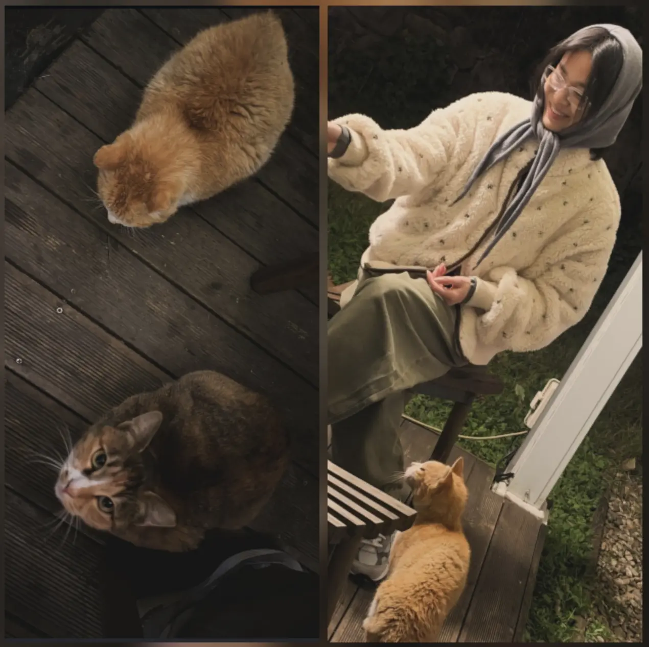 另外宋慧喬早前分享新照片，她戴上眼鏡、頭巾，身旁伴著一隻橙色貓，樸素貼地的造型得到不少網民讚賞。(圖：kyo1122@IG)