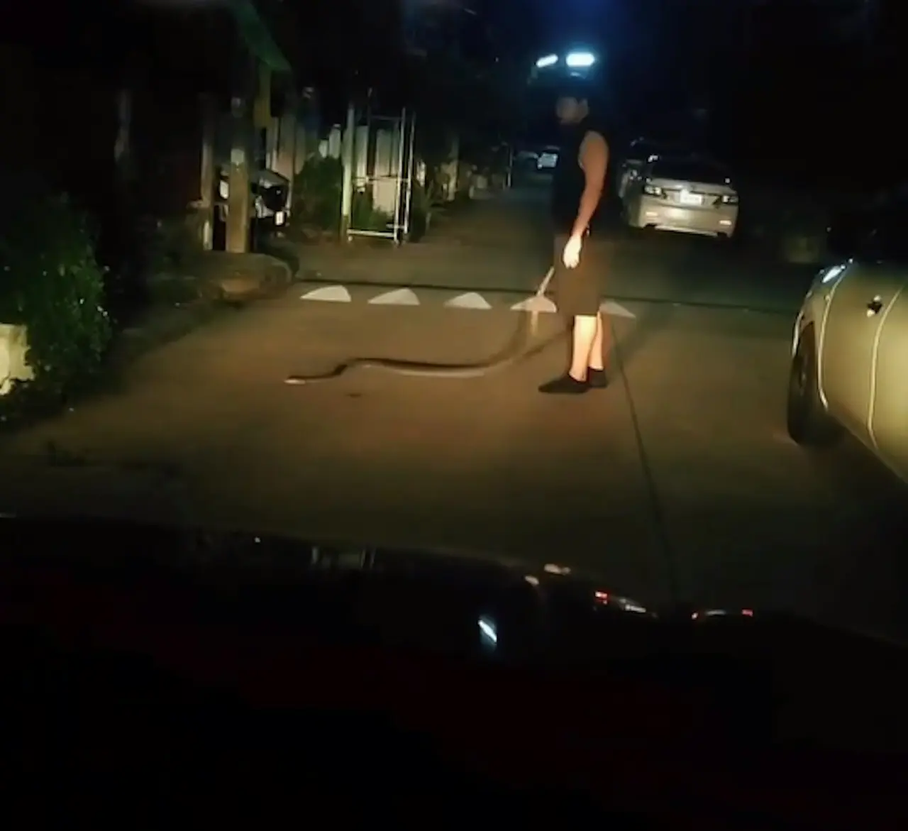 泰國男子拉查塔（Ratchata）酒後做出驚人之舉，將路邊野生巨蟒抱回家，隔天酒醒徹底斷片，面對上門處理蛇隻的救援人員一頭霧水，看了朋友拍攝的畫面才知自己鬧出大笑話。（來源：tracha_a@IG）