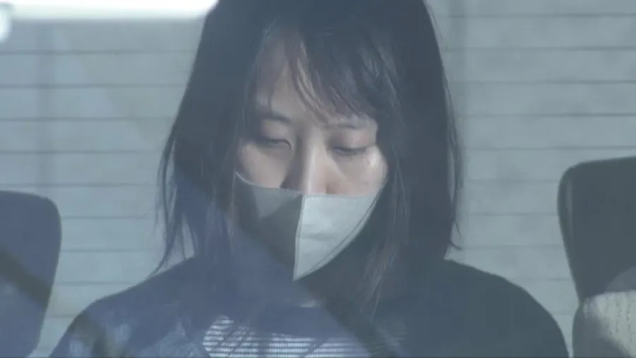 43 億日元訂單瘋狂下單又取消！日本女子大量訂購海賊王周邊遭逮捕的封面圖片