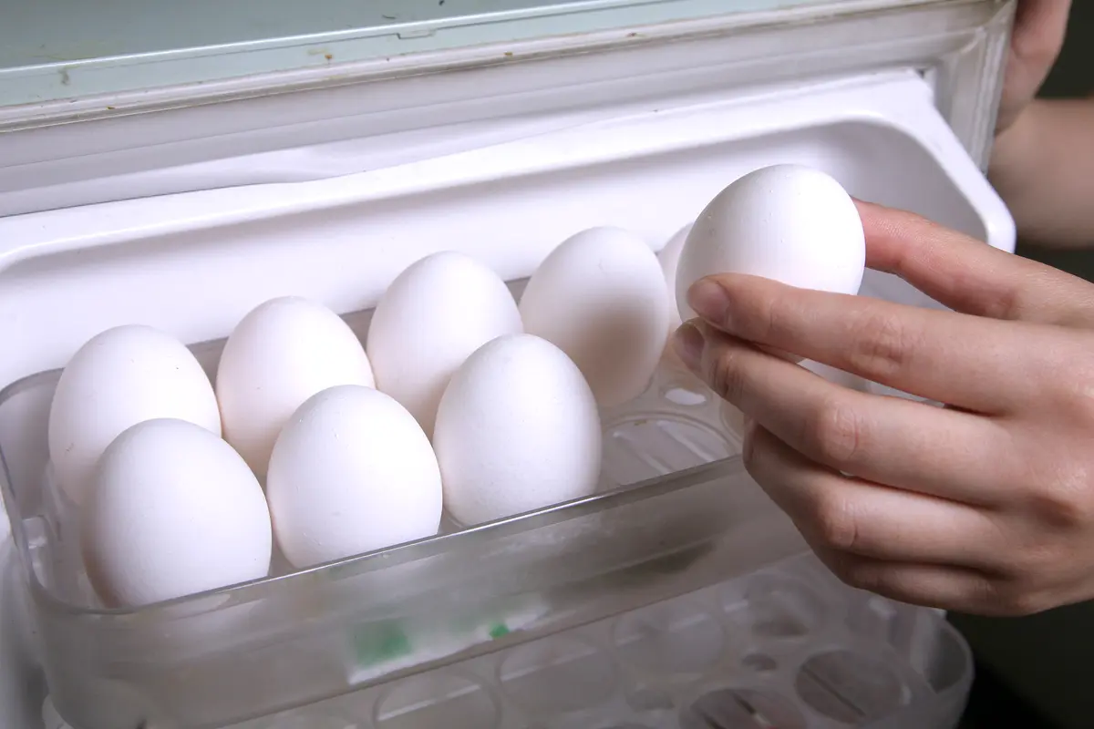 為何冰箱門袋不能放雞蛋？關鍵在於雞蛋非常怕「震動」！（示意圖來源：網絡）