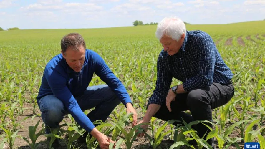 美國農業州農民面臨金融災難的封面圖片