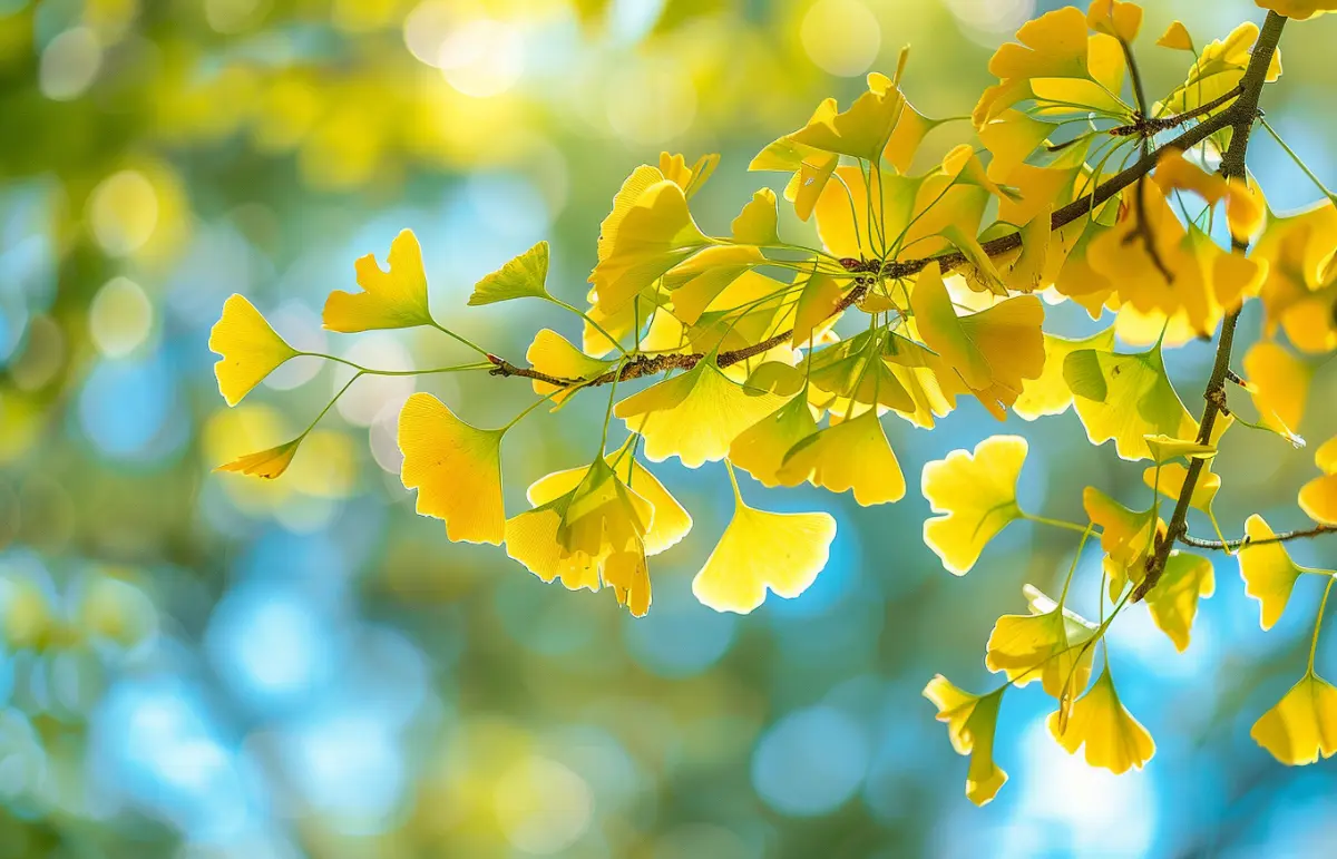 秋天一到，空氣越來越乾燥，很多人總是覺得喉嚨癢、忍不住咳嗽，皮膚也乾得發緊。（示意圖來源：images）