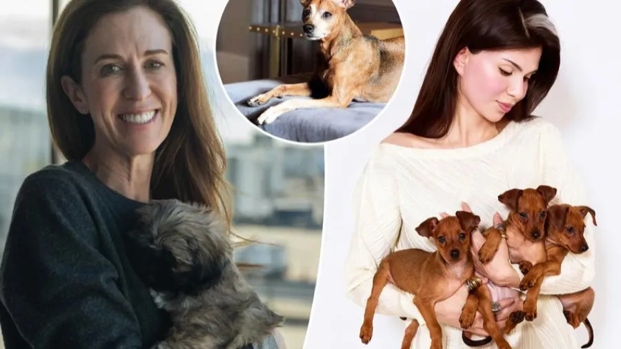 基因能重現陪伴嗎？亞馬遜主管砸5萬美元複製已逝愛犬的封面圖片