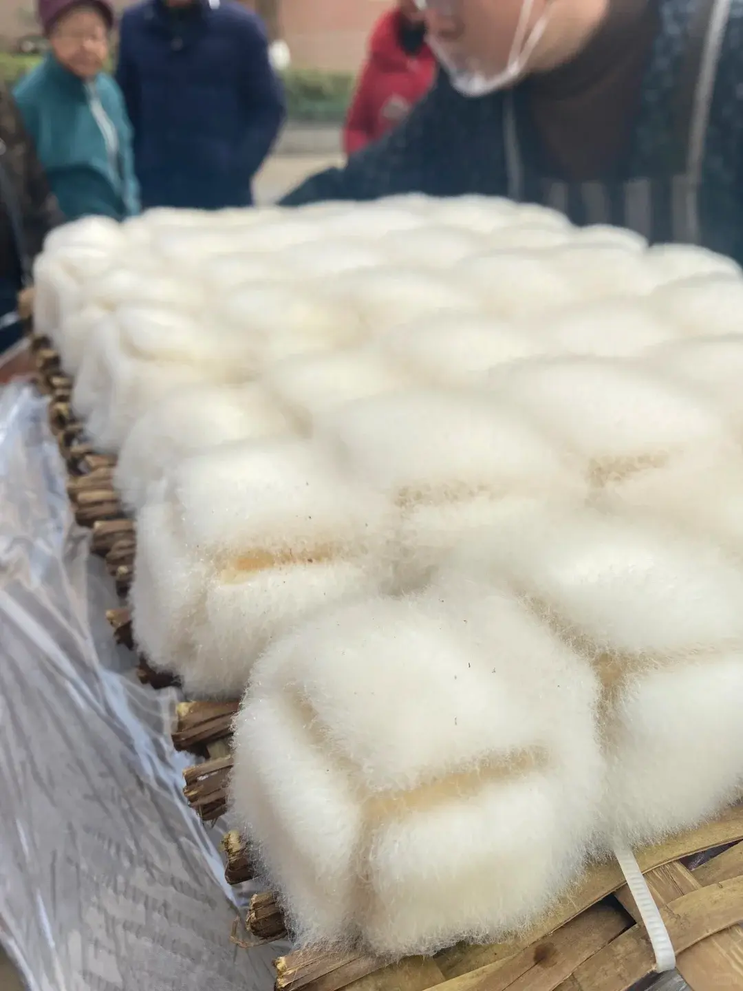 內地全網都在複刻黴豆腐，它的美味密碼和食用禁忌全揭秘！（示意圖來源：小紅書網友）