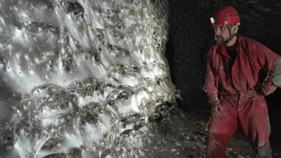 11 萬隻蜘蛛織就世界最大「天羅地網」！就在阿爾巴尼亞邊界洞穴裡的封面圖片