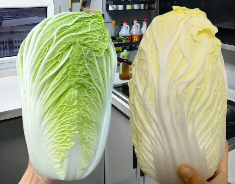 （示意圖來源：小紅書）