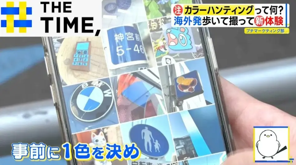 近期日本社群平台席捲一股超療癒的散步風潮「色彩尋寶（Color Hunting）」。（來源：読める・聞けるニュース・政治@YouTube）
