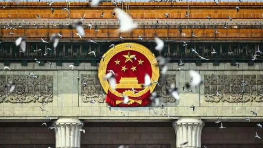 北京天安門的和平鴿從哪來又回哪去?你絕對想不到!的封面圖片