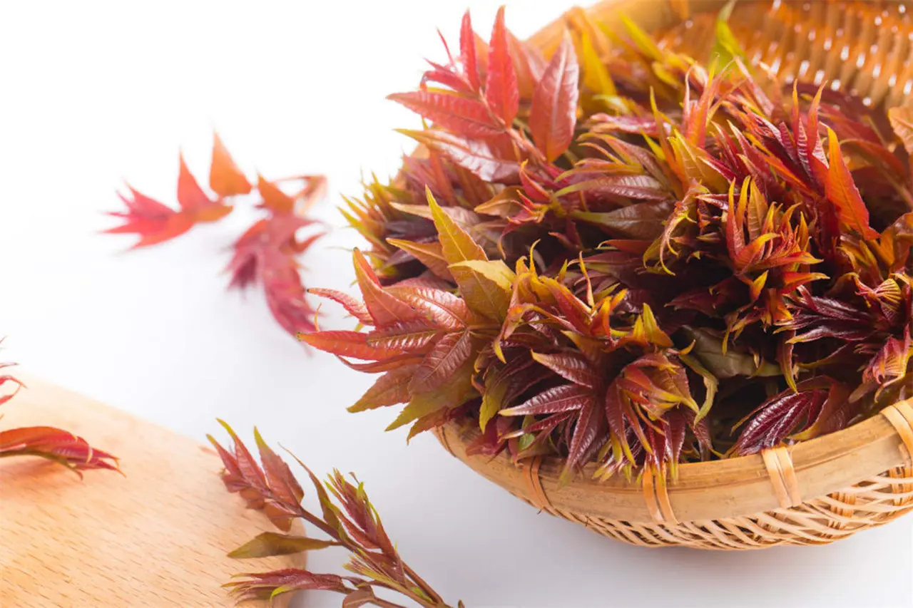 春季當季的香椿芽，看著嫩嫩的，卻可能含有高亞硝酸鹽，必須用沸水燙30秒，撈出來後趕緊涼透，這樣能去掉81%的亞硝酸鹽，吃的時候才不用擔心。（來源：網絡）