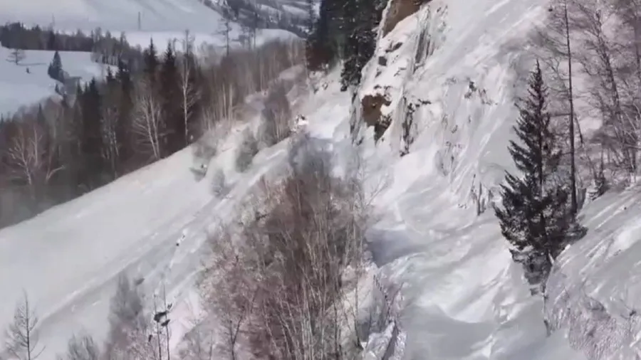 新疆喀納斯吉克普林滑雪場雪崩 港人遇難 入境處緊急跟進的封面圖片