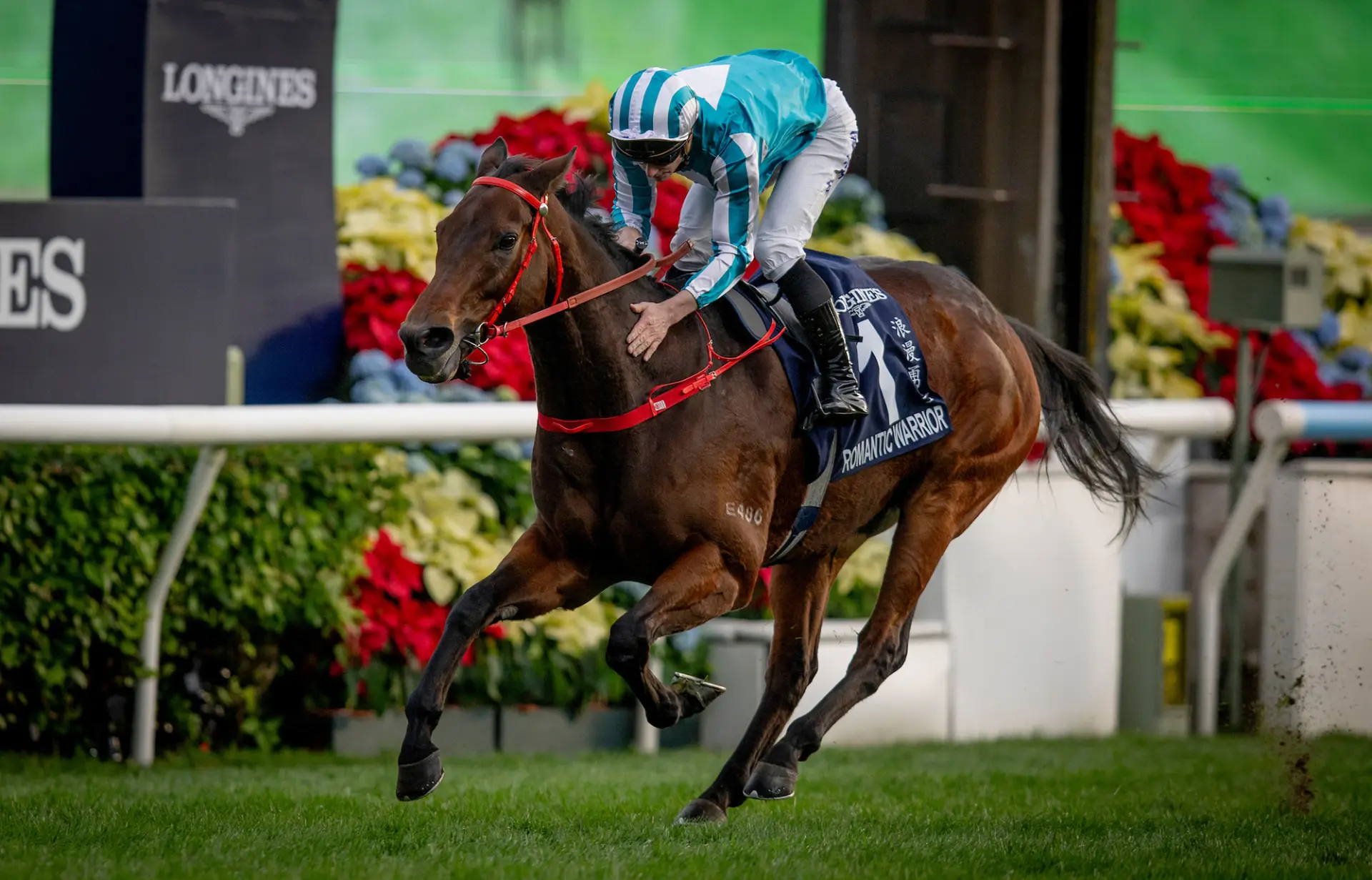 香港盃今屆吸引 7 匹佳駟角逐，總獎金高達 4000 萬港元。「浪漫勇士」由三屆全球最佳騎師麥道朗策騎，一身湖水綠綵衣格外醒目。賽事開跑後，「浪漫勇士」並未急於領先，大半時段一直穩守第三的位置，尾段進入直路後才發力衝刺，最終以超過一個馬位的優勢擊敗日本賽駒「寶徠歌劇」，順利奪冠。(圖：香港賽馬會)