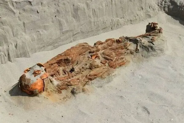 一座古老墓穴裡，12具人類遺骸以極不尋常的姿態靜臥，誰能想到，這些遺骸背後可能藏著古代活人獻祭的殘酷真相？（來源：祕魯國立聖馬科斯大學）