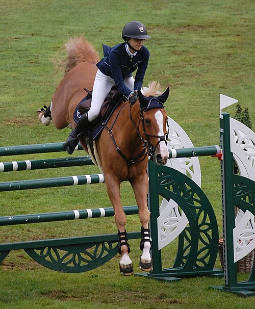 伊芙・喬布斯（Eve Jobs）這位斯坦福高材生不僅書讀得好，在馬場上也是風姿颯爽，還曾為 LV 等大牌走秀，登上過日本版《Vogue》，簡直是被上帝偏愛的全能選手。（來源：wikipedia）