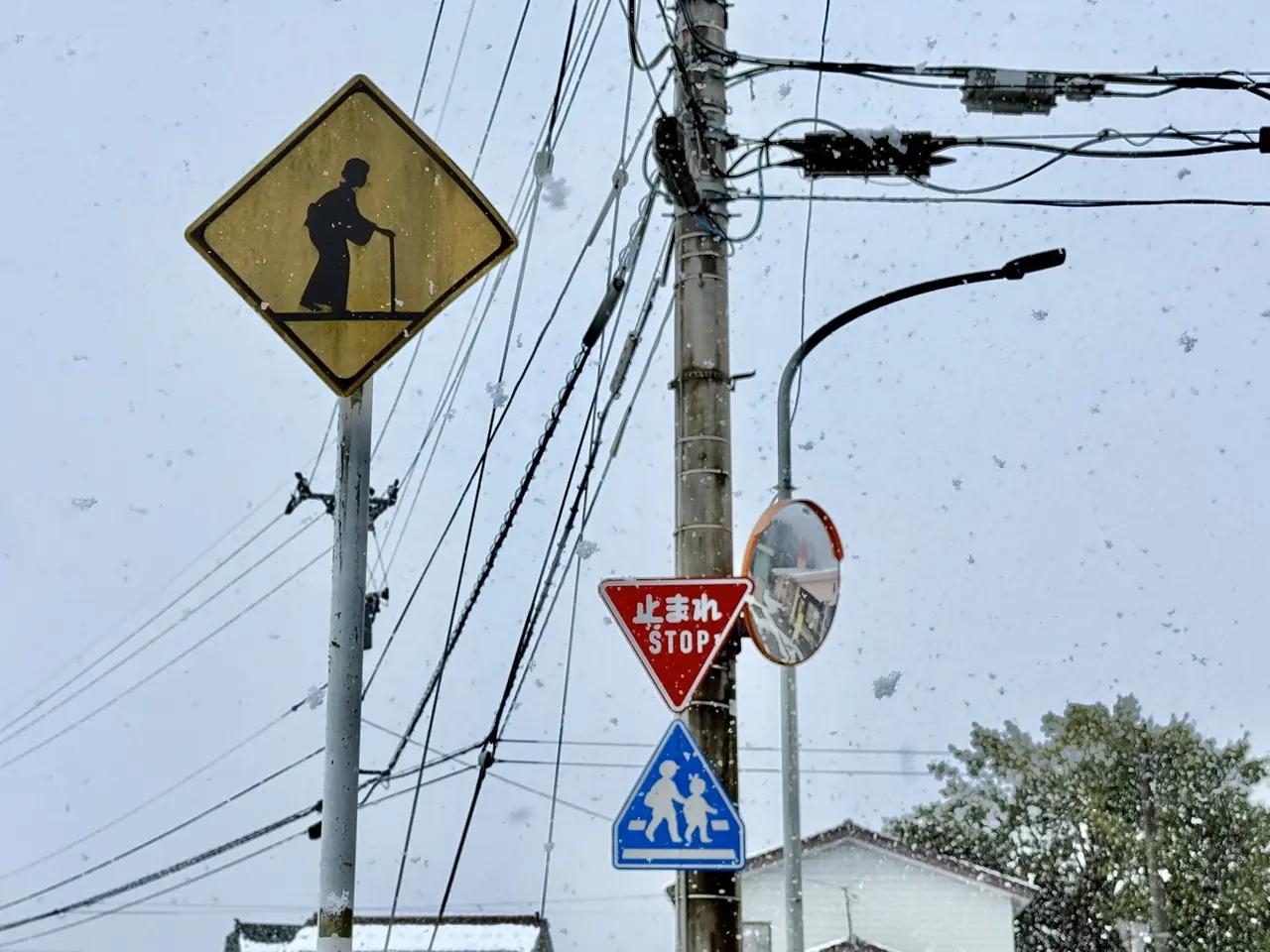 日本高岡市街頭「老奶奶標誌」爆紅，引發都市傳說熱議，官方亦不知情。（來源：masuomickey@X）