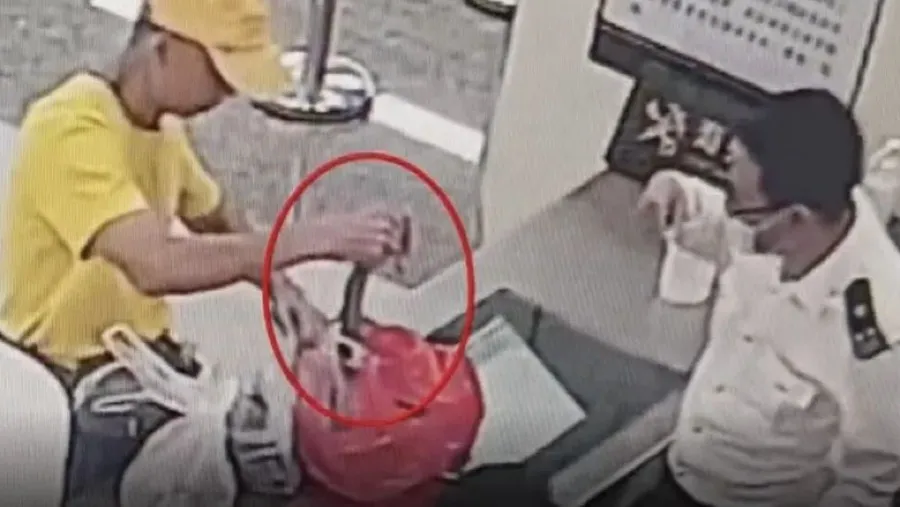 深圳蓮塘海關截獲旅客手提袋藏「飯鏟頭」的封面圖片