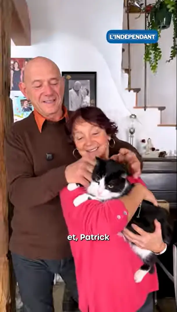 菲盧的不可思議之旅 —— 一隻跋涉 250 公里返家的貓咪。（來源： Journal L'Indépendant@YouTube）