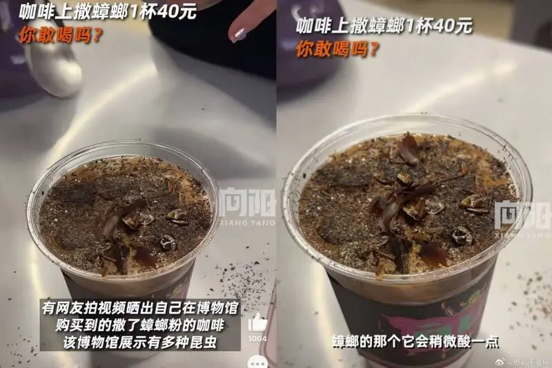 蟑螂咖啡在焦香基礎上帶點微酸，螞蟻咖啡偏酸，豬籠草特調則和普通飲料差不多。（截圖來源：網絡）