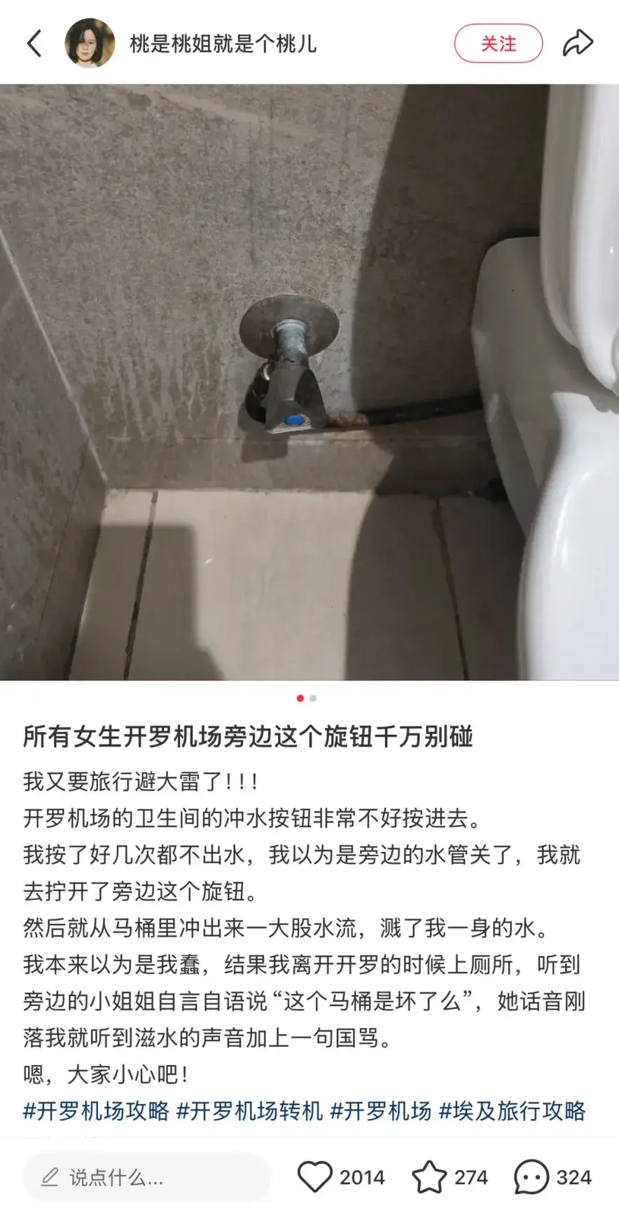 多名遊客在埃及開羅機場如廁時，誤將馬桶旁藍色按鈕當沖水器，遭強力水柱噴濕全身。經曝光，該按鈕實為手動式沖洗器，與當地宗教衛生習慣相關。（來源：桃是桃姐就是個桃兒@小紅書）