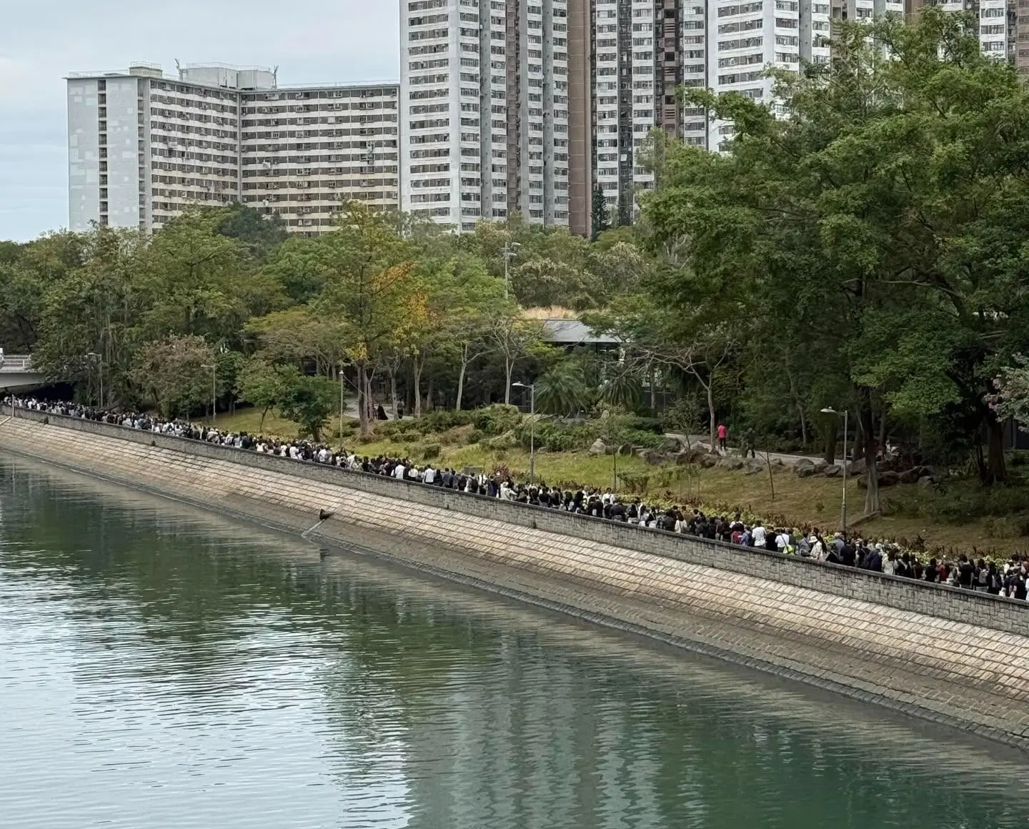 今午1時起，大埔廣福休憩處的空地上，逾千名市民帶着花束陸續到來，為宏福苑災難中的逝者寄託哀思，人龍一路排至1公里外，龍尾直跨到大埔海濱公園，陣容令人動容。(圖：網絡截圖)
