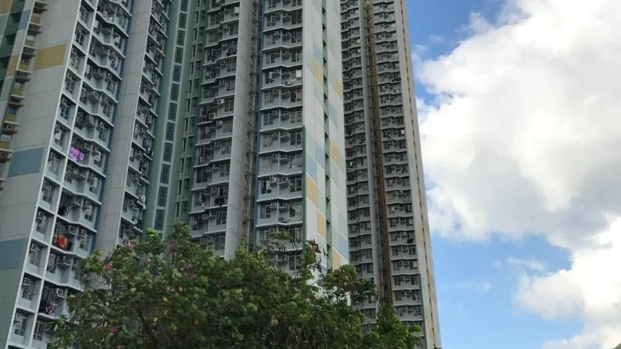 釋放公屋價值的長遠願景的封面圖片