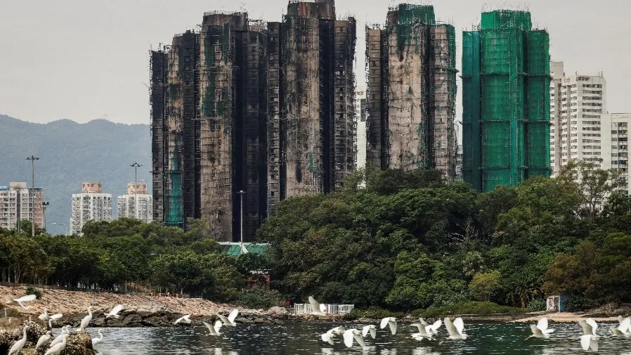 同悲共行，復常以愛：在哀傷與希望之間尋回平安的封面圖片