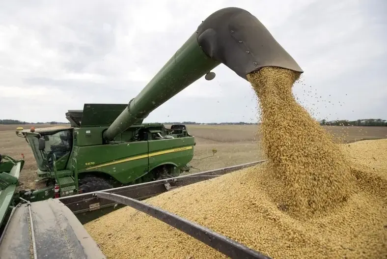 路透社稱,由於中國未有下單,美國豆農已損失多達數十億美元的銷售額。(資料圖片)