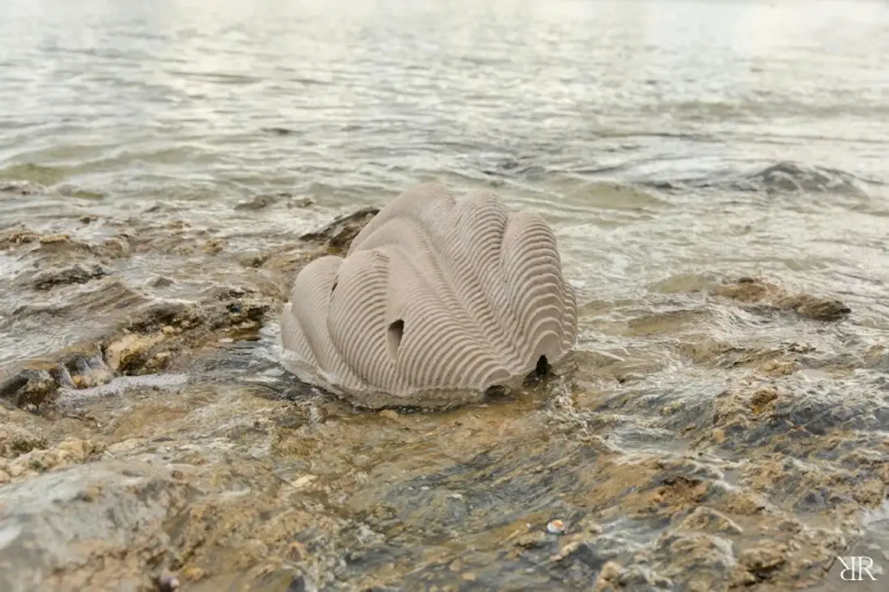 英國公司神操作！骨灰竟能變珊瑚，家屬還能定期「探視」？（來源：restingreef@IG）