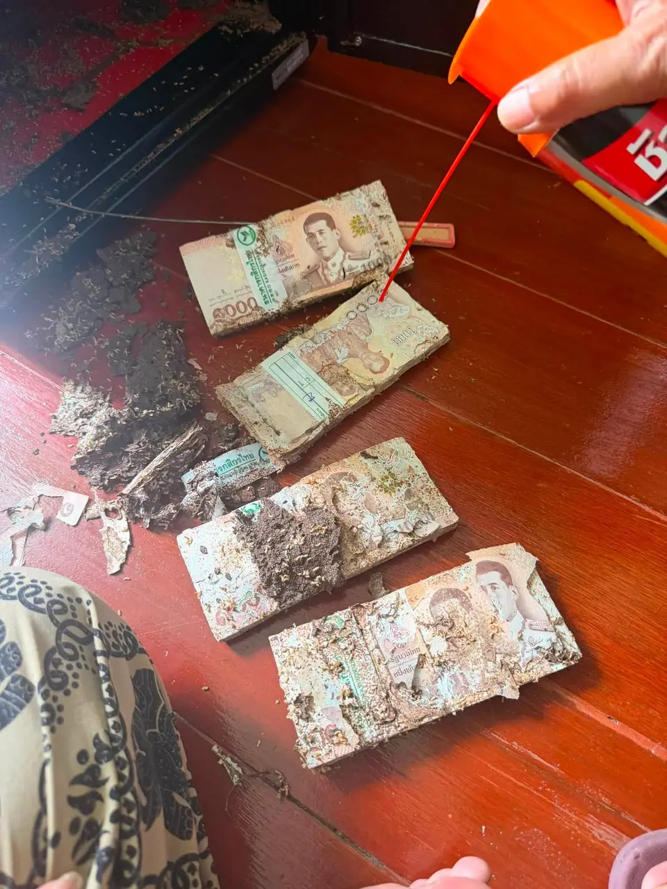 泰國女網友Nanny Irin將近百萬泰銖房貸現金存放家中保險箱，未料遭白蟻大面積啃毀，毀損鈔票需送央行鑑定兌換，耗時一至兩個月，且未必能全額取回。（來源：Nanny Irin@FB）