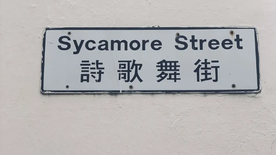 內地旅客讚香港詩歌舞街譯名封神！Sycamore 為何變詩歌舞？原是水果名？浣紗街關西施事？的封面圖片