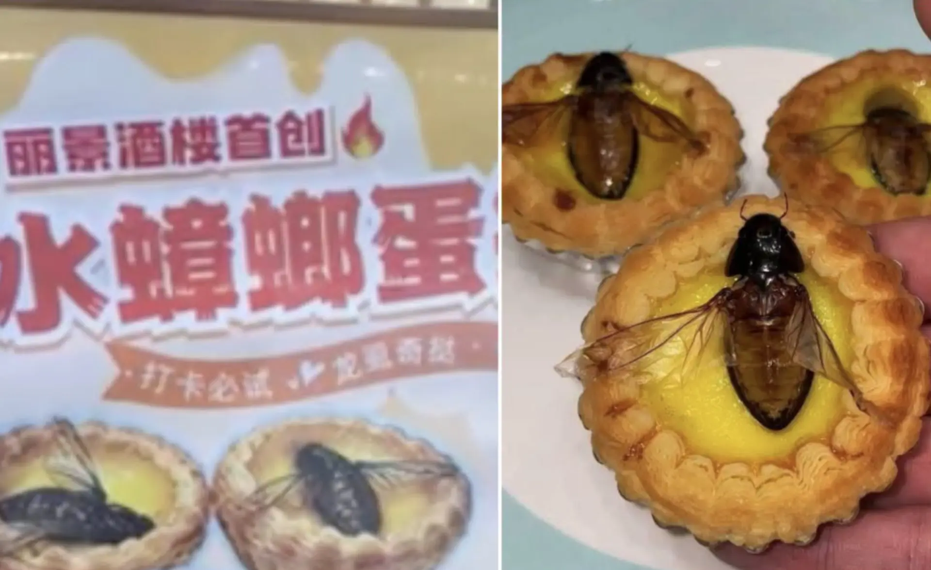 相關畫面於網上廣傳，網民意見兩極。部分網民直言造型令人難以接受，形容「好核突」；亦有網民表示願意嘗試這款傳統食材的創新演繹。 (圖：網絡截圖)