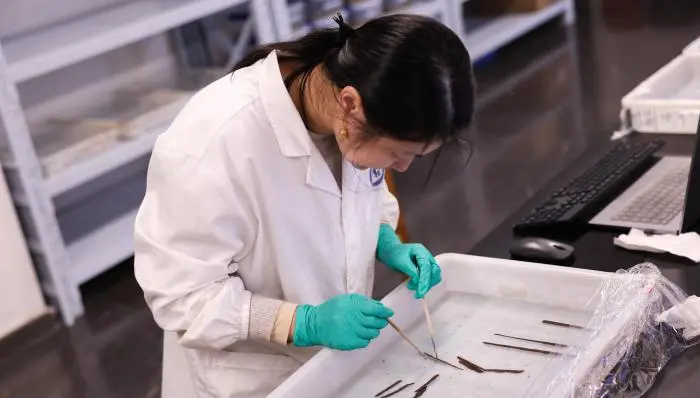 中國江西南昌海昏侯墓首現秦漢全本《詩經》簡，共 1200 枚，還出土《齊論語》等珍貴文獻。（來源：中國新聞網）