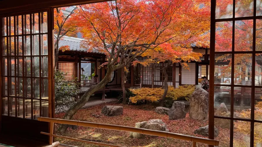 日本京都飯店一晚最低3150日圓？中國觀光客減少竟引發這波降價潮！的封面圖片