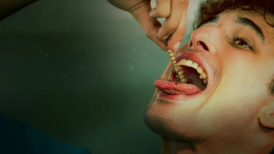 妻子崩潰！美國一丈夫無業沈迷吃活蟲，積蓄健康雙重告急？的封面圖片