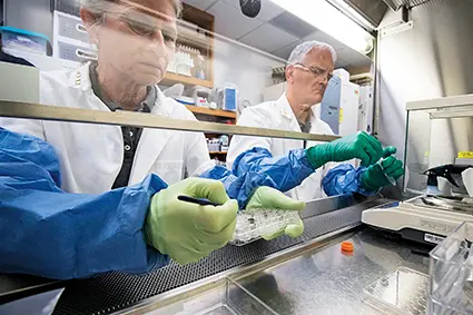 研究人員在美國蓋恩斯維爾的佛羅里達大學一實驗室進行月壤相關研究 (新華社)