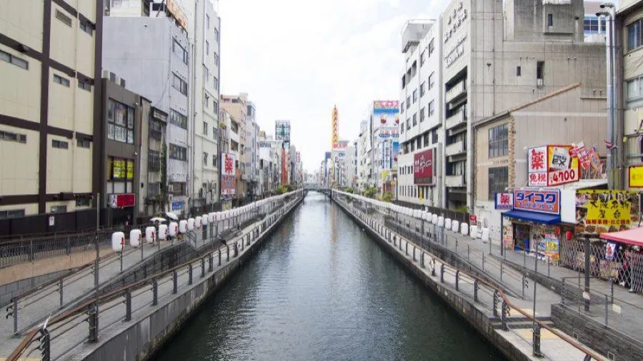 大阪道頓堀川魚群湧入異象 日網憂地震前兆 專家解析原因的封面圖片