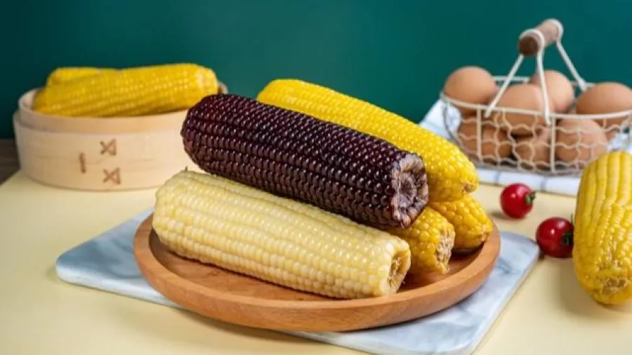 選對玉米=少長肉！這份健康指南幫你避開熱量陷阱的封面圖片