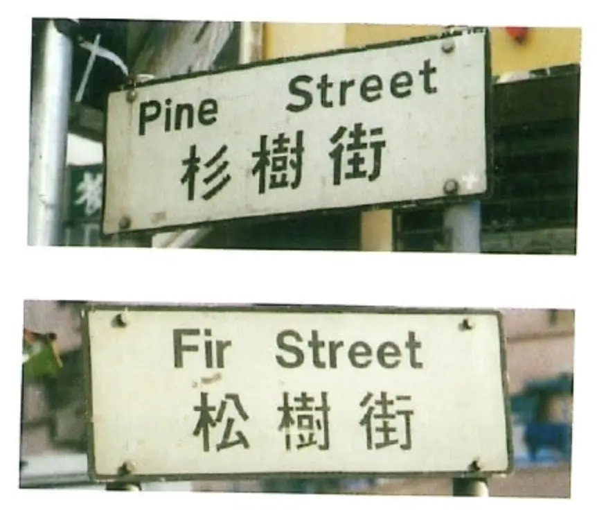 除詩歌舞街外，大角咀的杉樹街與松樹街堪称「翻譯烏龍典範」—— 兩街英文名 Pine Street 與 Fir Street 本應對應松樹與杉樹，最終卻因翻譯失誤導致中英文對調，成為獨特的街名趣談。(圖：Signs of a Colonial Era)