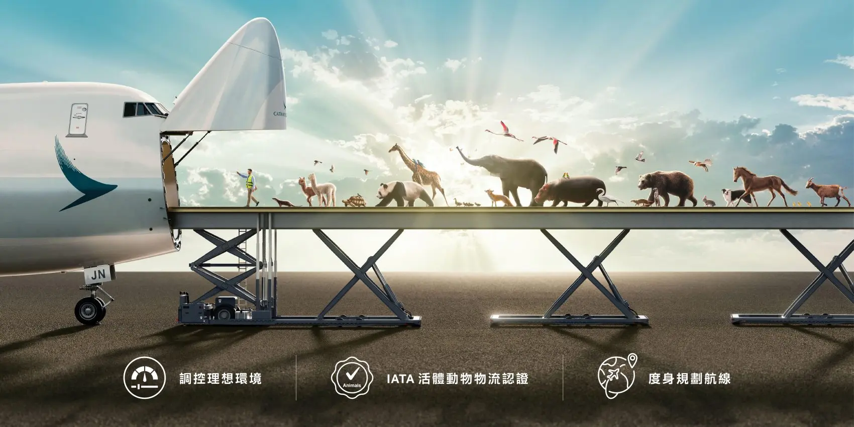 真正優質的活體動物物流，從不只是完成「由甲地到乙地」的運輸，而是以動物福利為中心，為每一個生命安排一段盡可能平穩、舒適和受尊重的旅程。  (圖：國泰航空)